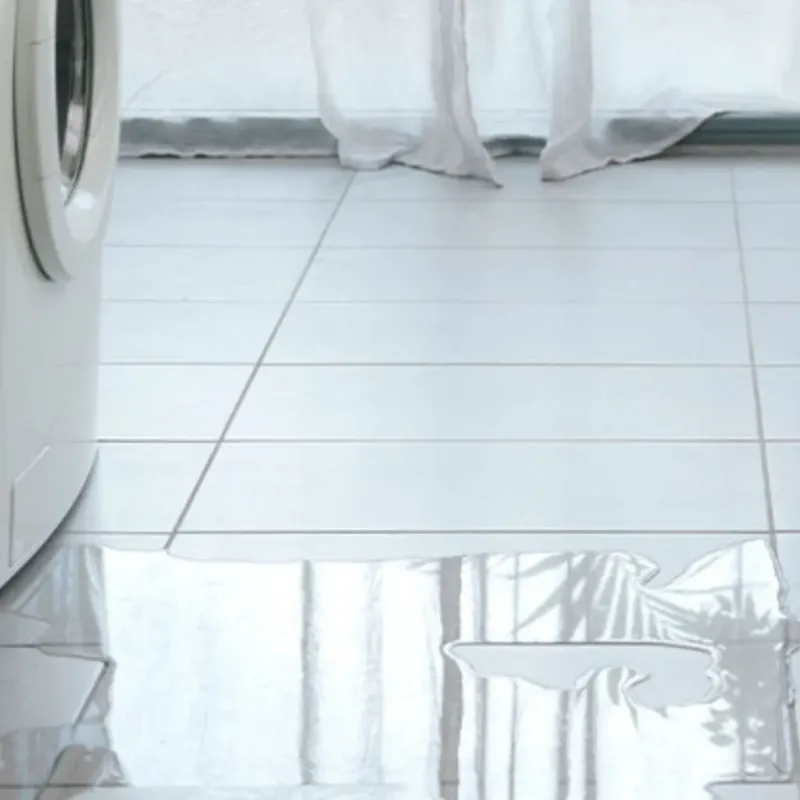 Appliance Leak Cleanup in Brooklyn, MI