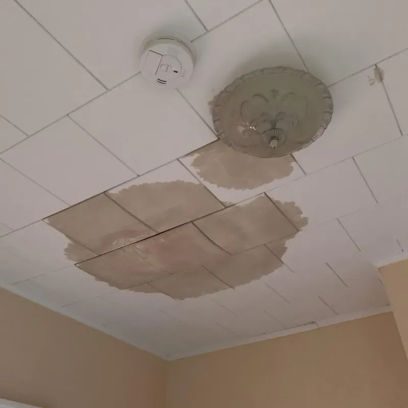 Ceiling Water Damage Repair in Brooklyn, MI