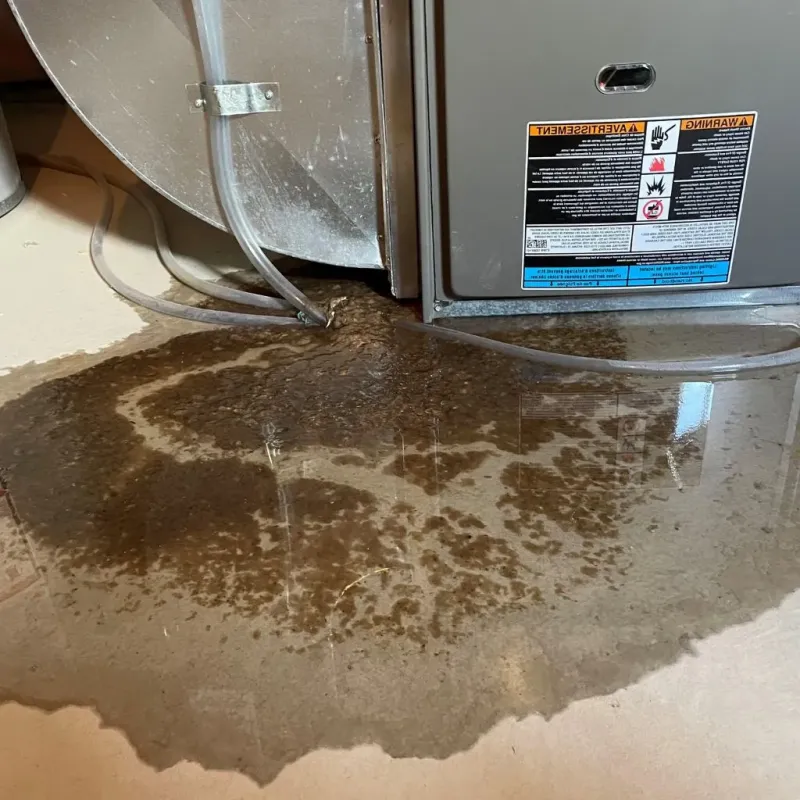 Pipe Burst and Leak Restoration in Brooklyn, MI