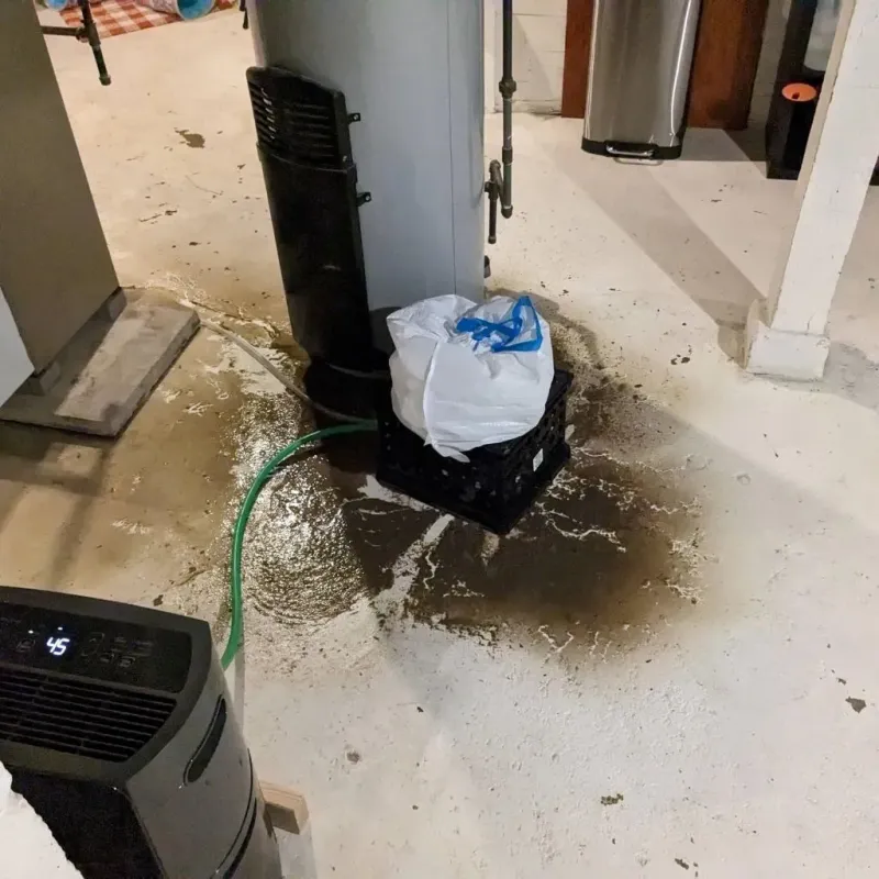 Sewage Backup Cleanup Service in Brooklyn, MI